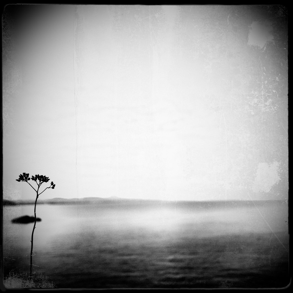 Melancholia